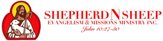 Shepherd N Sheep logo
